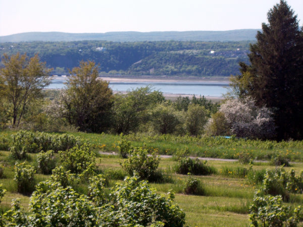 オルレアン島産カシス酒を製造する農園の眺め